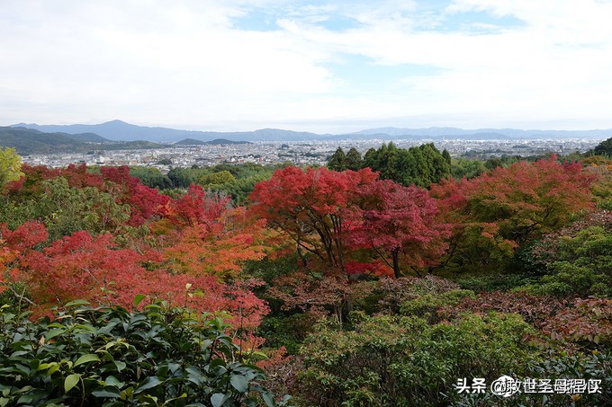 日本旅游工资流水单什么样,日本流水账式旅行