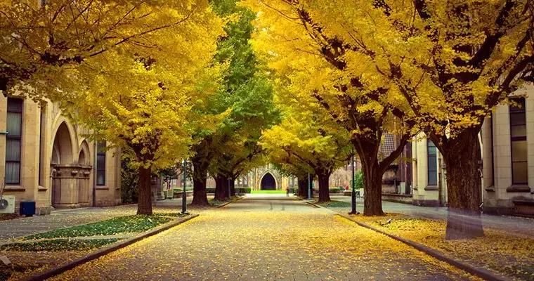 全球大学就业能力排行榜,新加坡就业率最高的大学