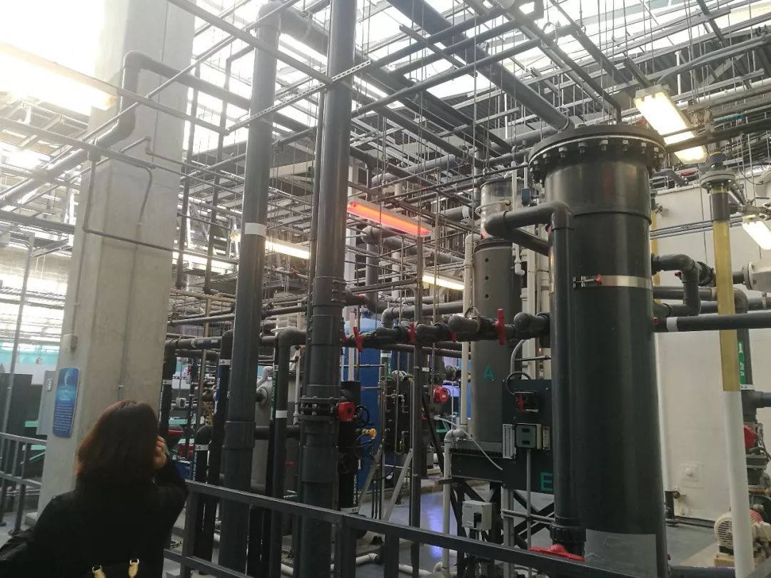 亚特兰大动物园,亚特兰大动物园和华盛顿动物园