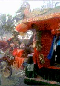 搞笑gif开心一刻单身也挺好,搞笑gif开心视频