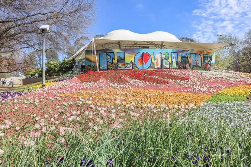 澳洲｜春意堪培拉，看袋鼠、品酒、赏花、住进动物的家