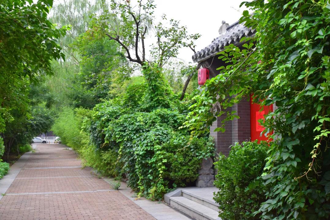 美丽宜居环境建设,美丽宜居街区改善项目