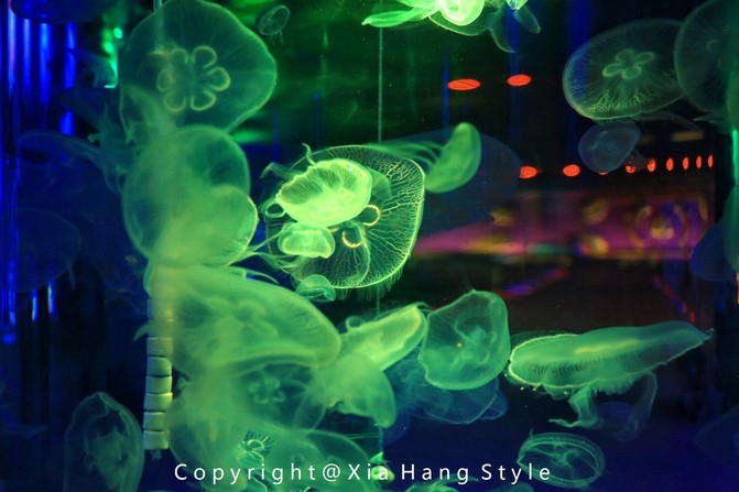 横店梦幻谷水世界有奥特曼,横店梦幻谷水世界摩天轮