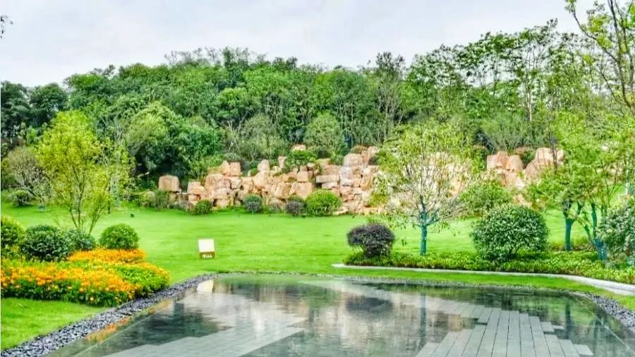 浒墅关板块最新消息,浒墅关镇最新消息