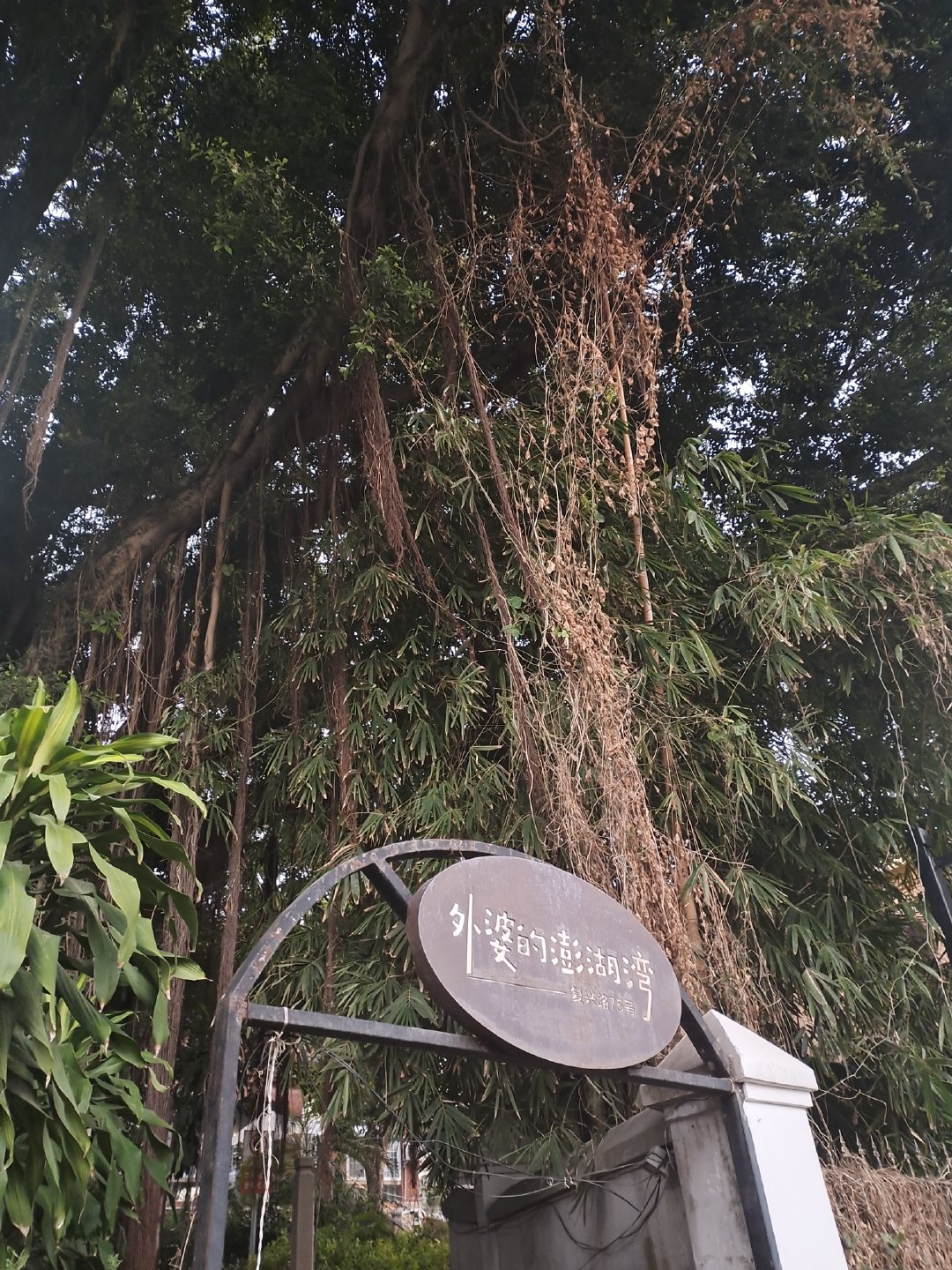 厦门不仅有美丽的风景还有好吃的,厦门旅游美食美景照片