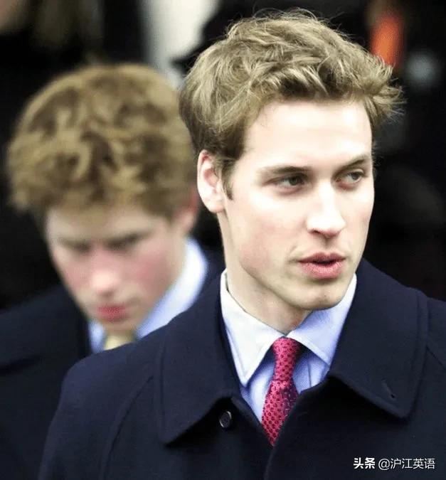 忧郁系王子，竟是宠妻儿狂魔，还打破了王室700年的爱情诅咒