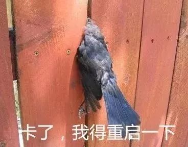 究竟什么才是想要的生活,究竟什么才是人生