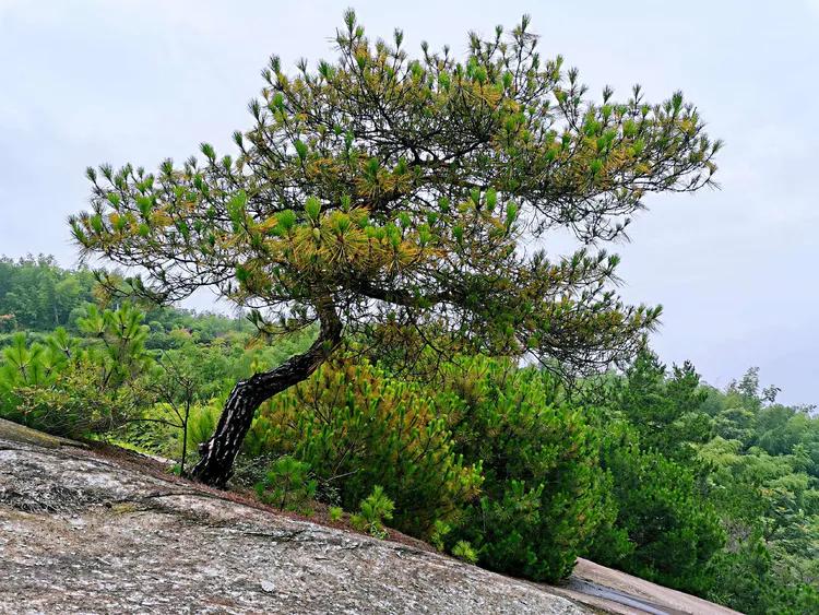 华容山水苑别墅100万,华容秀丽山水风景区