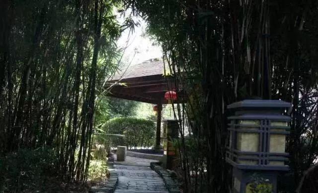 温泉之乡~南京汤山小镇这个冬天住这了！千年枯树滋润的露天温泉