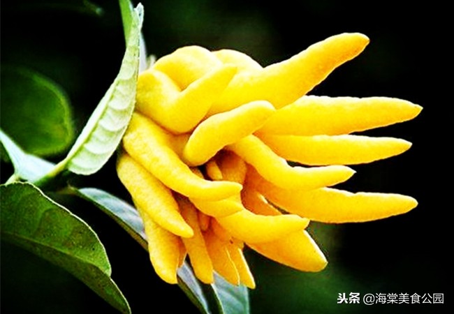 女人40岁多吃三种保养食物,40岁的女性经常吃哪些对皮肤好