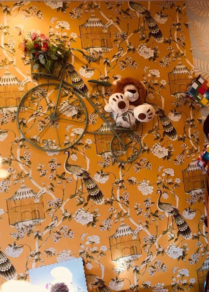 新西兰奥克兰美食,新西兰奥克兰好吃推荐