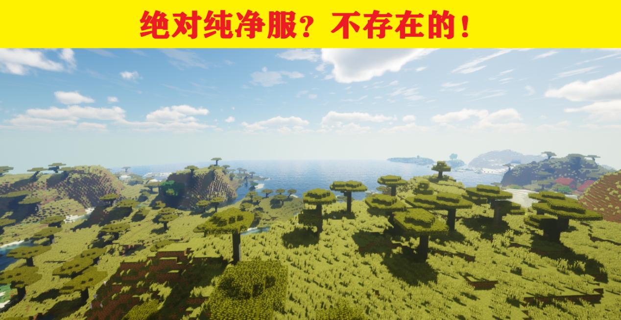 我的世界服务器玩家五条信息,我的世界关于服务器的知识