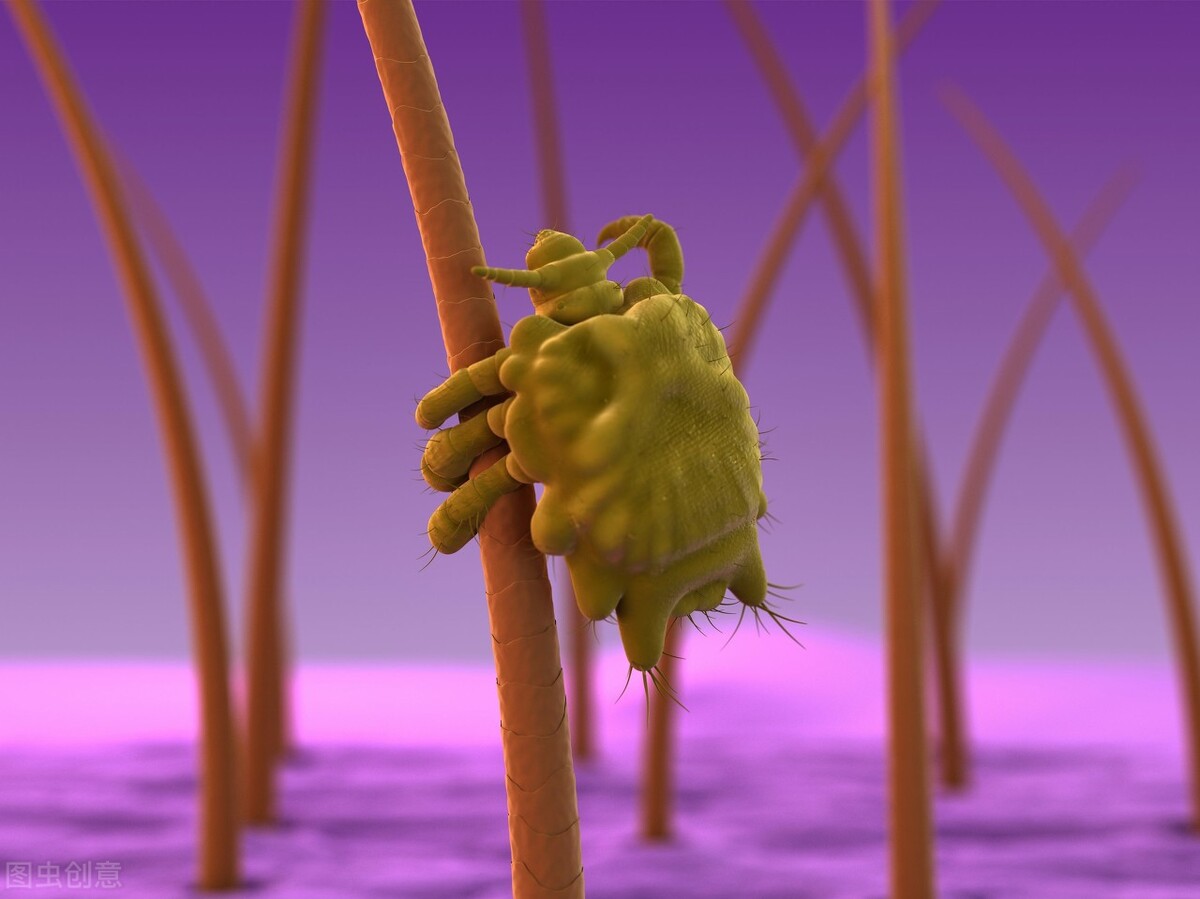 尖锐性湿疣是艾滋病和梅毒吗,尖锐湿疣和梅毒艾滋病有什么关系