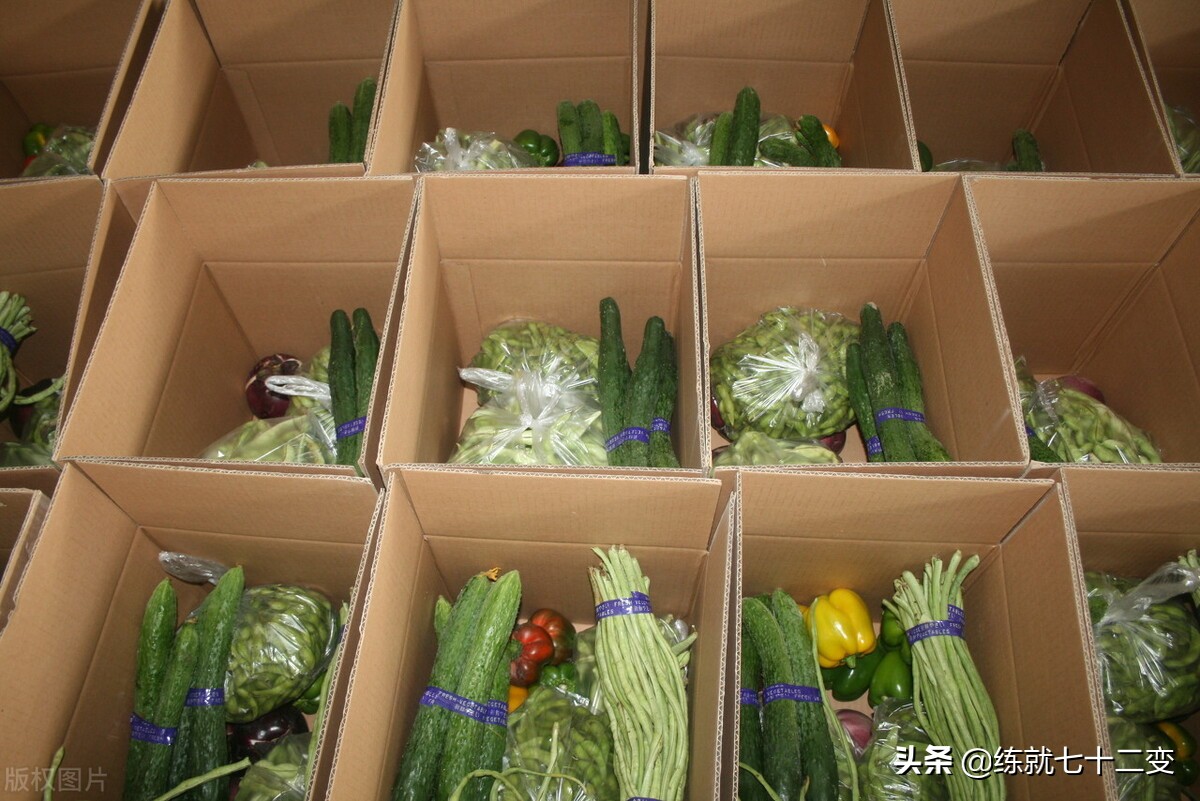 蔬菜配送公司需要哪些条件,蔬菜配送生意经营模式