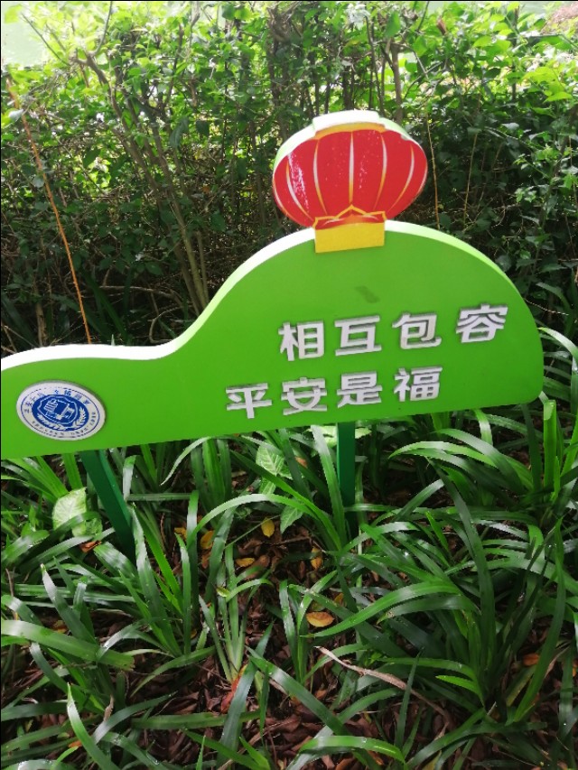 东莞旗峰公园掠影,东莞旗峰公园大体俯视图片