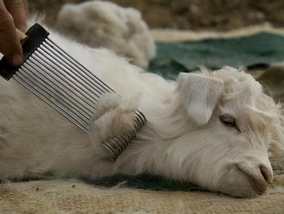 治沙对策和措施,治沙的最好办法