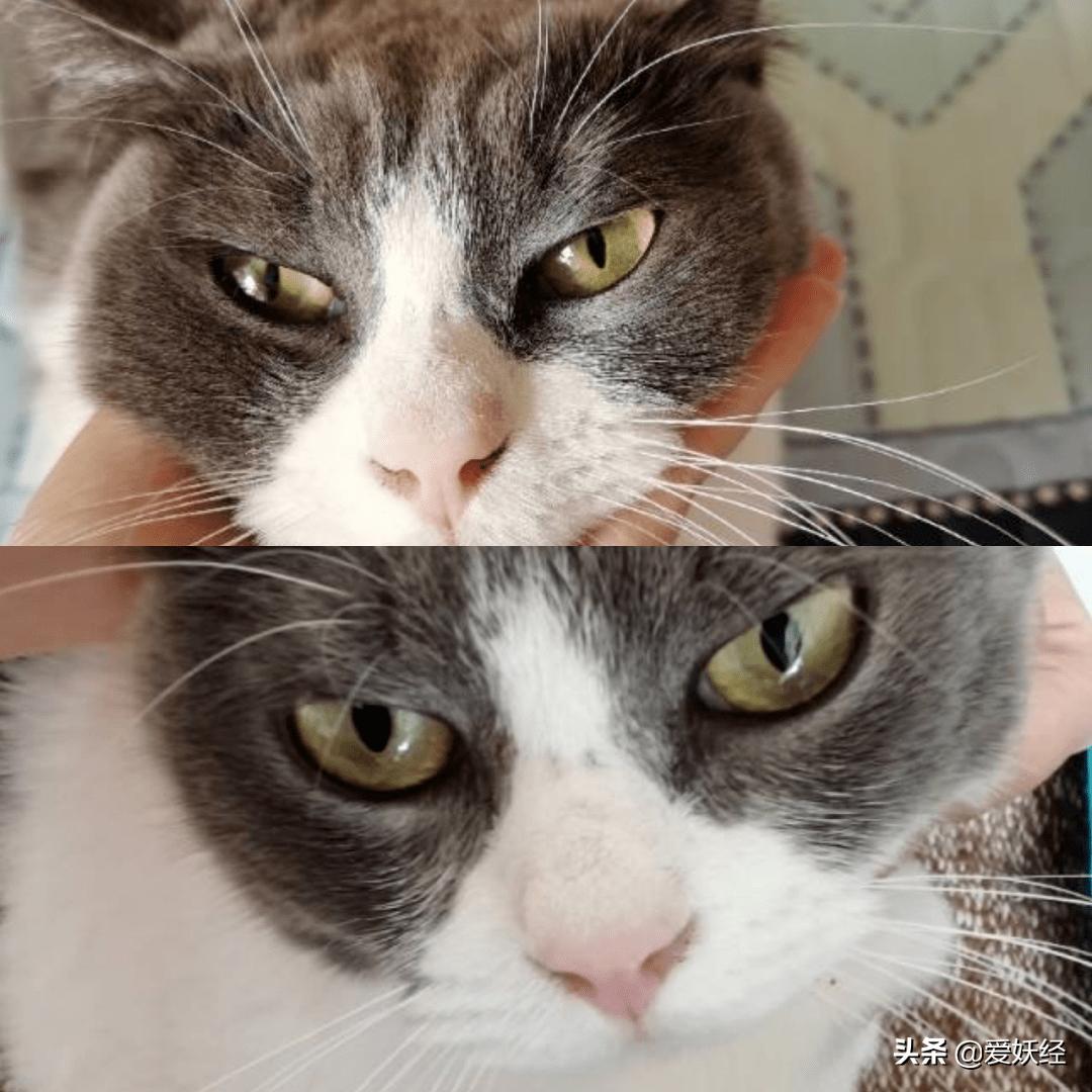 软便精有救了？干了这碗粮，养胃又护肠