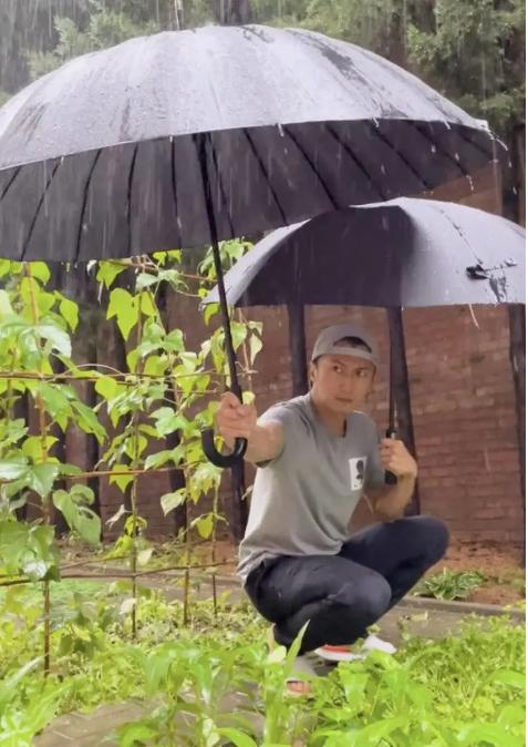 谢霆锋为何背叛王菲选择张柏芝,谢霆锋或王菲2020年关系如何