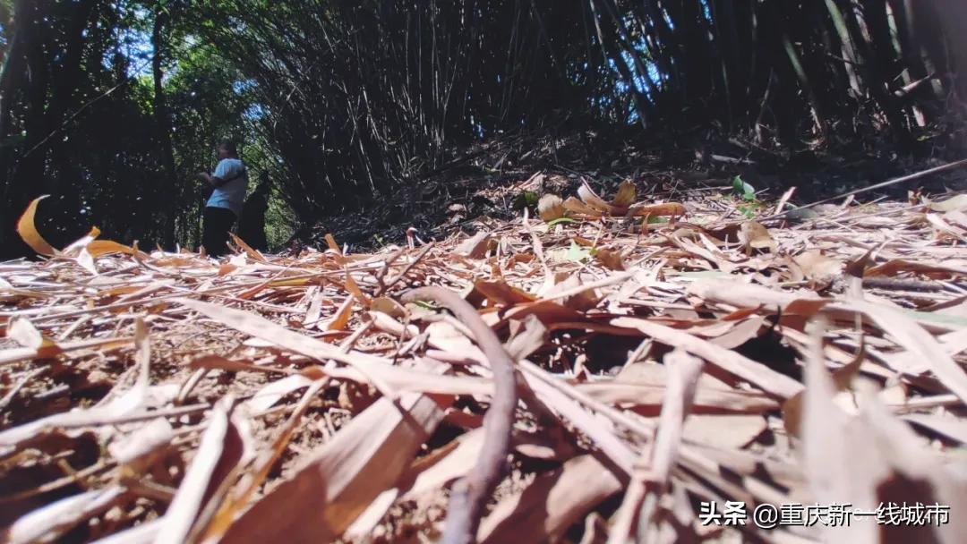 荒野求生之神秘洞穴,荒野求生神秘洞穴