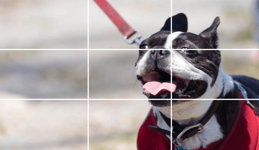 九宫格构图和三分法构图,三分线构图与黄金构图区别