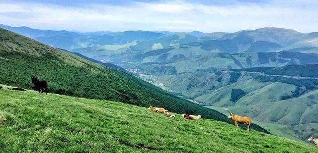 到山西有什么玩的景区,山西旅游三天自由行攻略