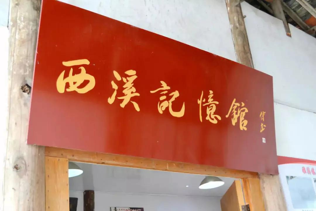 丽水上热搜,浙江丽水现萤火虫星海