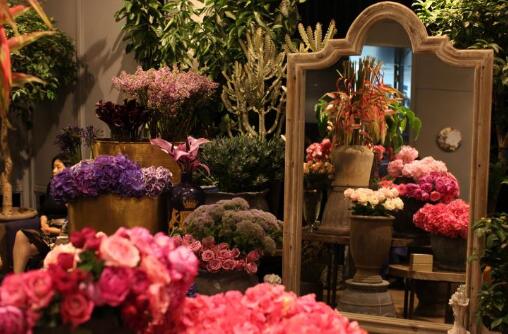 野兽派花店轻奢品,野兽派花店加盟费用多少条件