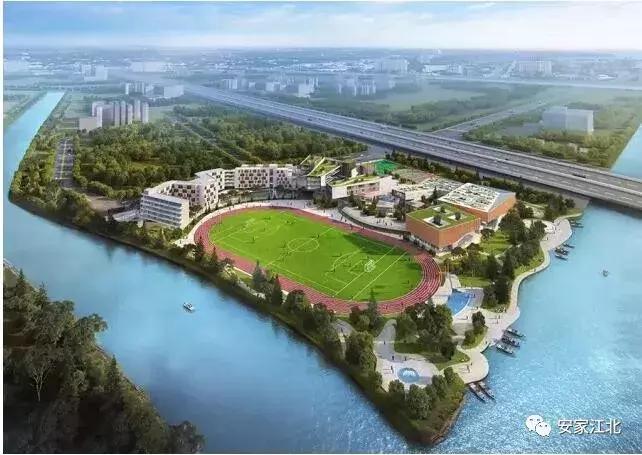 买学区房还是直接上私立学校,是高价买学区房还是直接读私立呢