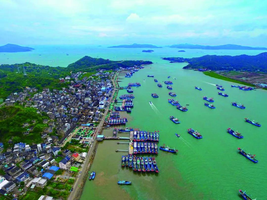 沈阳日报12月13日,沈阳新闻9月16日