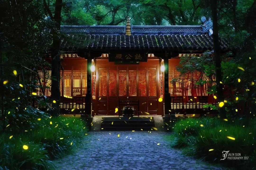 灵谷寺萤火虫7月,灵谷寺萤火虫目前还有吗