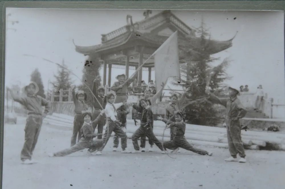 临安最好的小学是哪个,临安小学入学要求