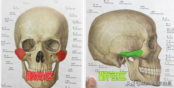 颧骨突出脸型长不好看,脸比较凶如何修饰