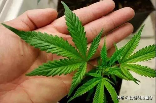 人类发现的第1种金属是什么,人类发现最完美的材料