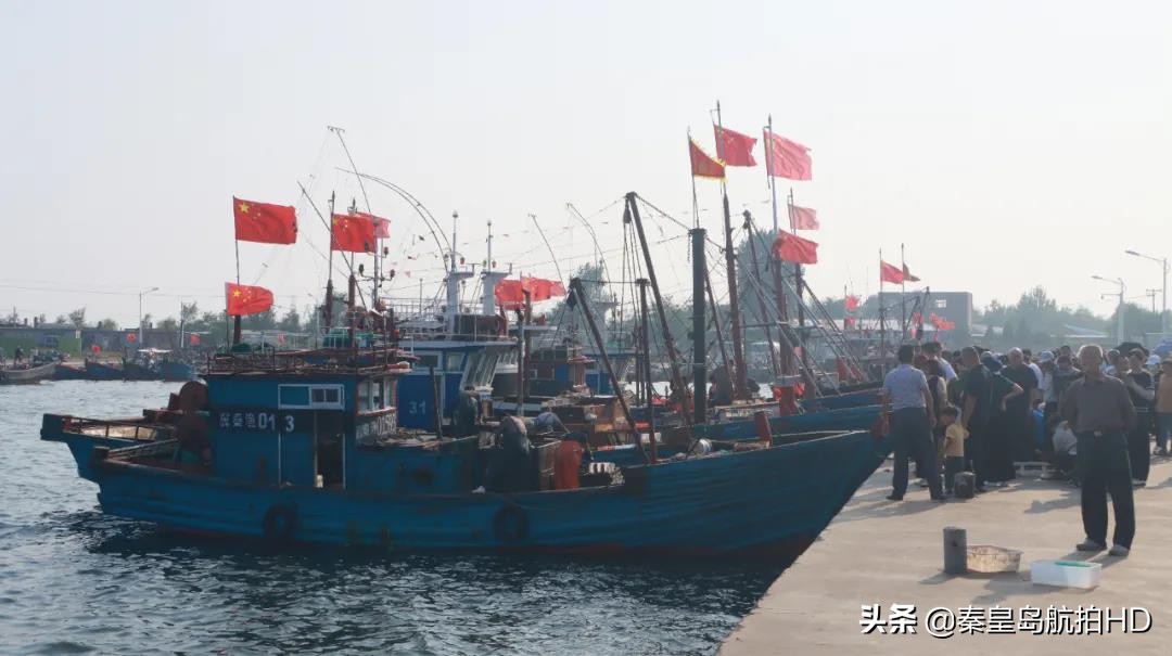 秦皇岛买海鲜去哪里,秦皇岛哪里买出海回来的海鲜
