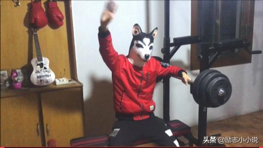 *载下**很多零撸软件后结果手机报废了，贪图蝇头小利如今后悔不已