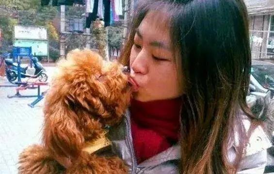 狗狗不停舔嘴巴舔鼻子,狗狗喜欢舔人的视频