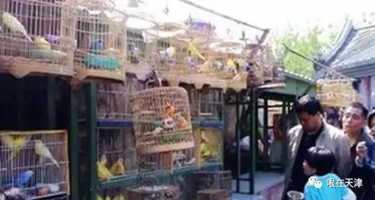 天津哏儿都的好去处,天津哏儿都