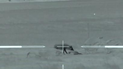 真正的狼灭：美国农场主一夜*击狙**45只郊狼，全套黑科技开挂了