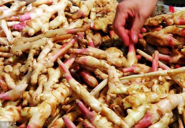 减肥期间管不住嘴要怎么去减肥,减肥管不住嘴馋怎么办