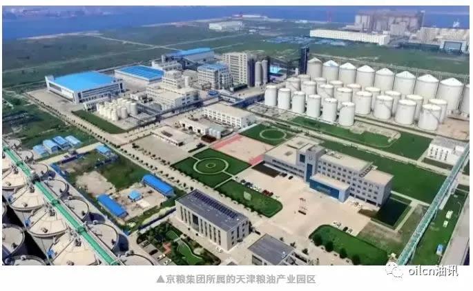 京粮控股一季报预测,京粮控股涨10.02%