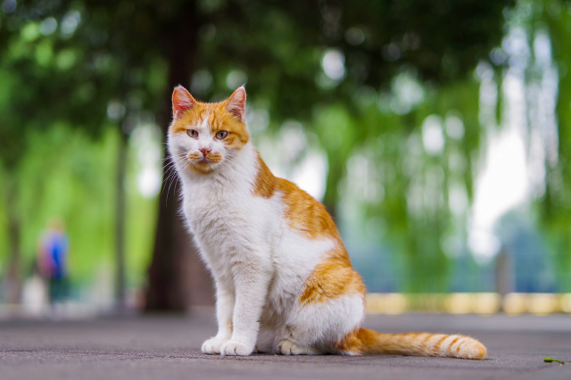 宾得da501.8评测,宾得星头是不是最好