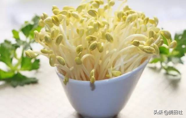 怎样在纸上种菜,纸上种菜的技术很简单