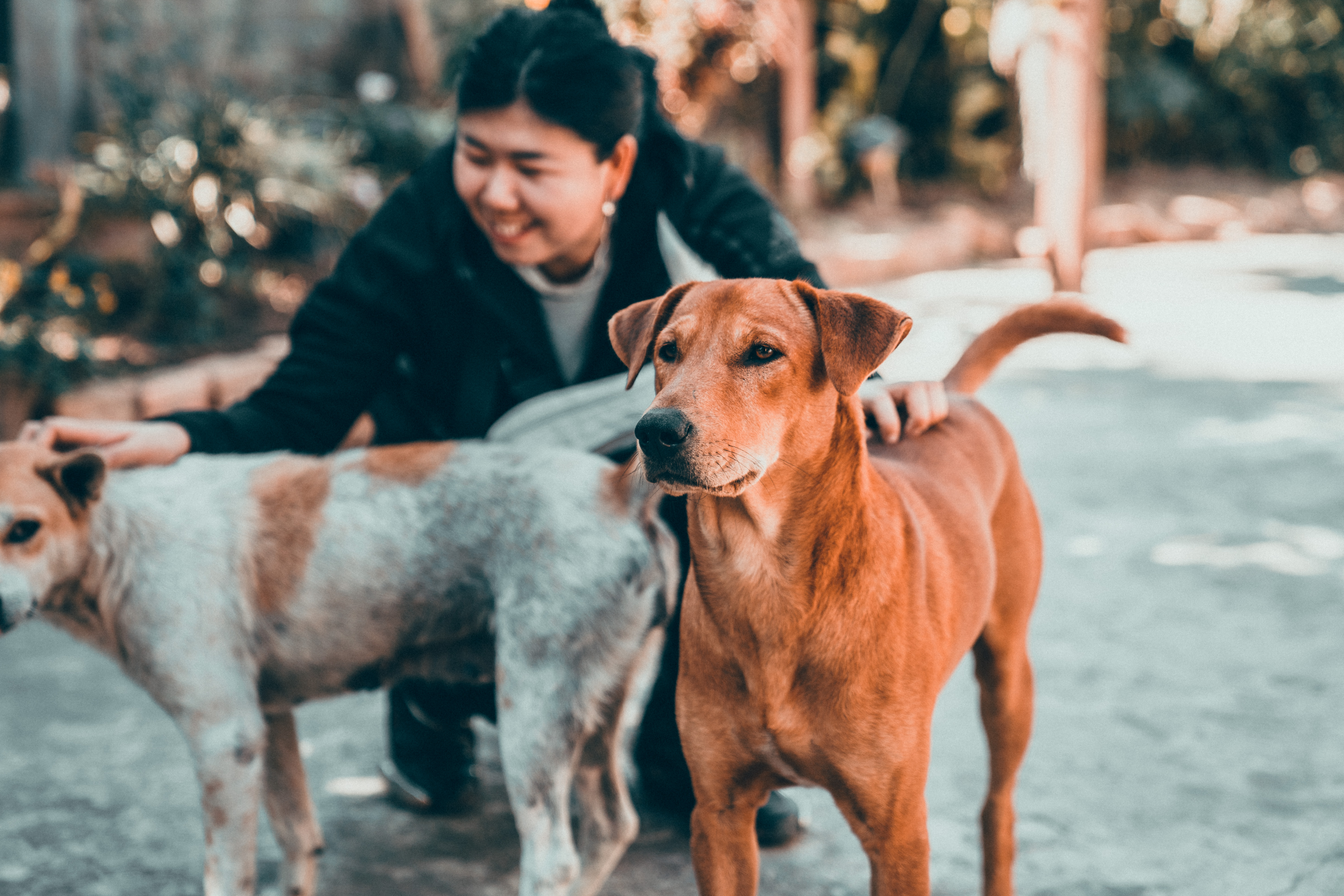 雨季骑行老挝,骑行老挝真实感受