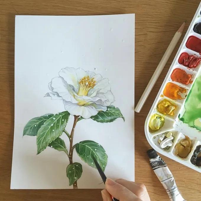 韩国疫情告急,韩国疫情手绘画