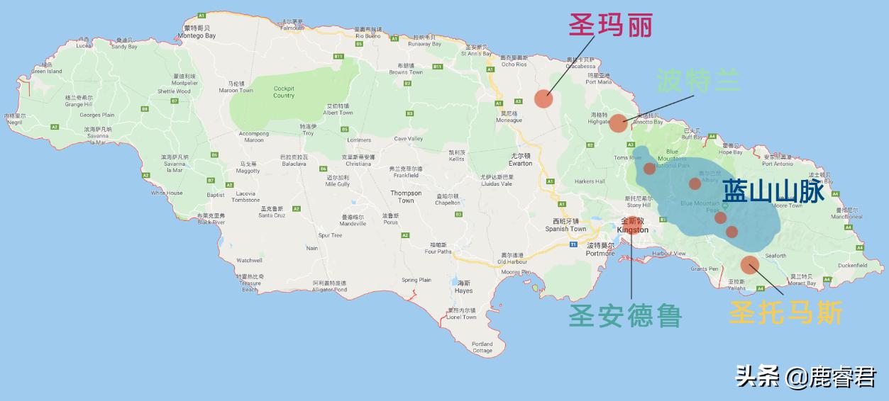 最正宗的蓝山咖啡,真正的蓝山咖啡日本