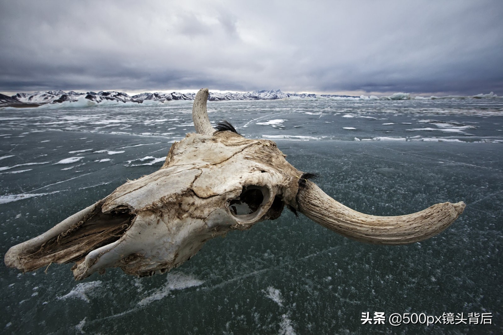 取景器里的世界永远是最美的,来看看取景器里面的绝美画面