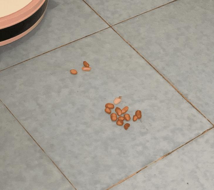 米家扫地机pro科沃斯n8,科沃斯地宝扫地机价格