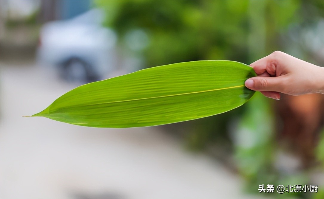 买反季粽叶需要注意的事项,粽叶防腐剂