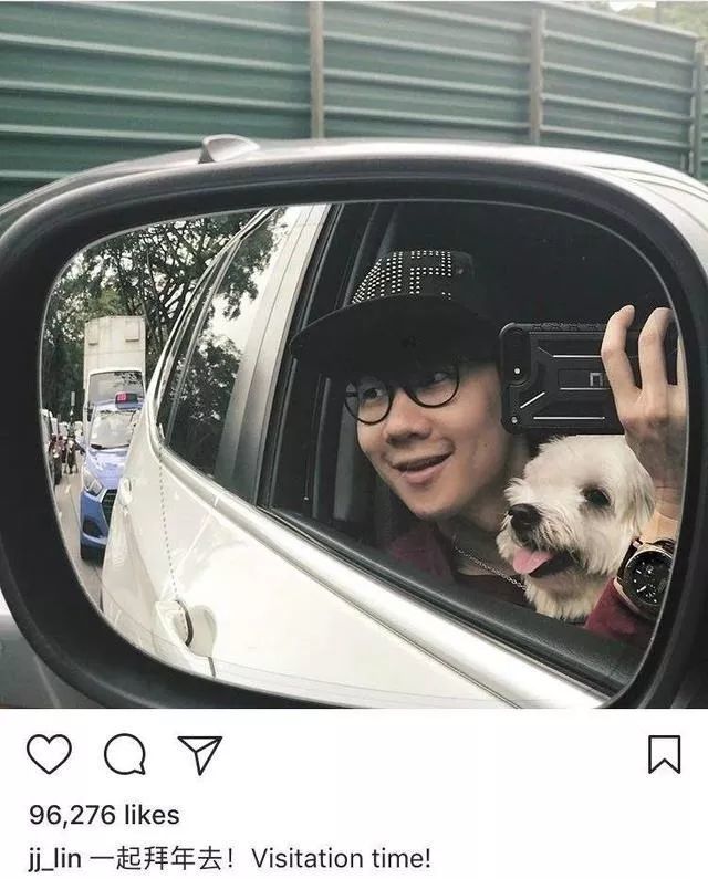 哪些明星养猫最好养,盘点明星们养的宠物