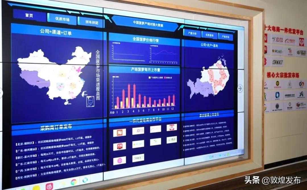 菠萝菠萝菠萝菠萝菠萝菠萝的海！